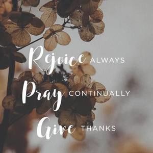 Meet your Posher, Bob